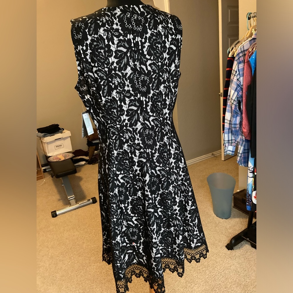NWT: Donna Ricco black lace sleeveless dress, size 14 - Picture 6 of 12